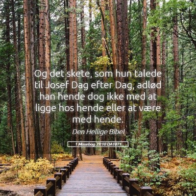 Picture 05 - 1 Mosebog 39:10 DA1871 - Og det skete, som hun talede til Josef Dag efter - Bible Verse Picture