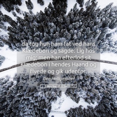 Picture 05 - 1 Mosebog 39:12 DA1871 - da tog hun ham fat ved hans Klædebon og sagde: - Bible Verse Picture