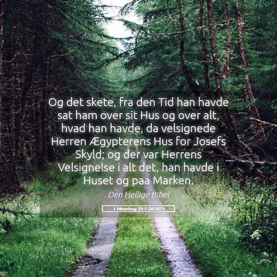Picture 05 - 1 Mosebog 39:5 DA1871 - Og det skete, fra den Tid han havde sat ham over - Bible Verse Picture