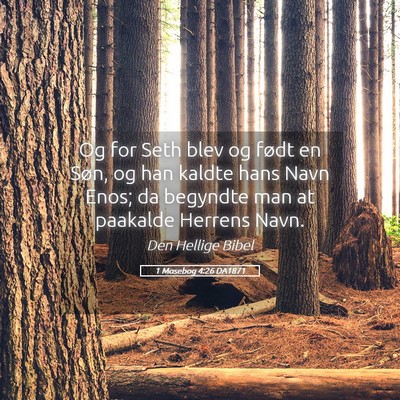 Picture 05 - 1 Mosebog 4:26 DA1871 - Og for Seth blev og født en Søn, og han kaldte - Bible Verse Picture