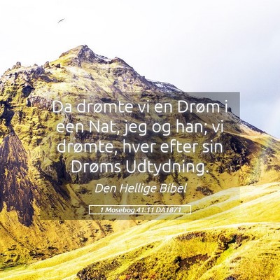 Picture 05 - 1 Mosebog 41:11 DA1871 - Da drømte vi en Drøm i een Nat, jeg og han; vi - Bible Verse Picture