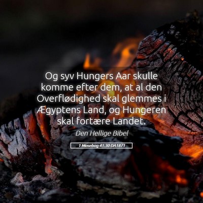 Picture 05 - 1 Mosebog 41:30 DA1871 - Og syv Hungers Aar skulle komme efter dem, at al - Bible Verse Picture