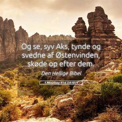 Picture 05 - 1 Mosebog 41:6 DA1871 - Og se, syv Aks, tynde og svedne af Østenvinden, - Bible Verse Picture