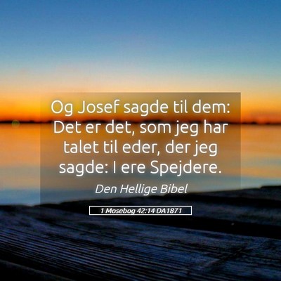 Picture 05 - 1 Mosebog 42:14 DA1871 - Og Josef sagde til dem: Det er det, som jeg har - Bible Verse Picture