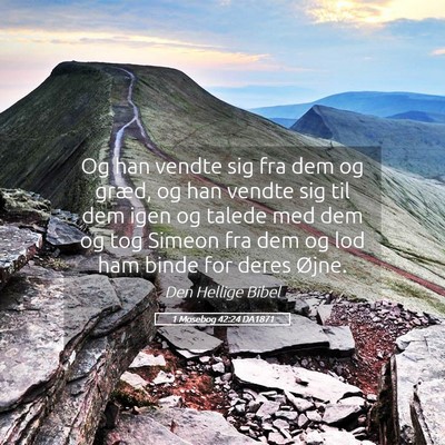 Picture 05 - 1 Mosebog 42:24 DA1871 - Og han vendte sig fra dem og græd, og han vendte - Bible Verse Picture