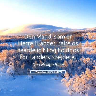 Picture 05 - 1 Mosebog 42:30 DA1871 - Den Mand, som er Herre i Landet, talte os - Bible Verse Picture