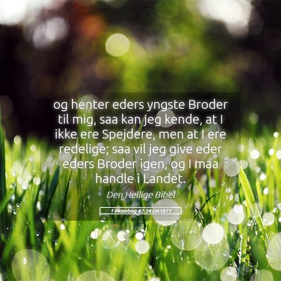 Picture 05 - 1 Mosebog 42:34 DA1871 - og henter eders yngste Broder til mig, saa kan - Bible Verse Picture