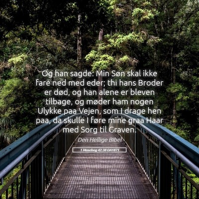 Picture 05 - 1 Mosebog 42:38 DA1871 - Og han sagde: Min Søn skal ikke fare ned med - Bible Verse Picture