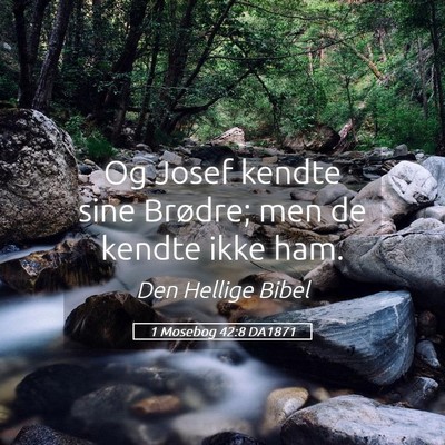 Picture 05 - 1 Mosebog 42:8 DA1871 - Og Josef kendte sine Brødre; men de kendte ikke - Bible Verse Picture