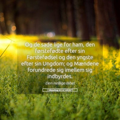 Picture 05 - 1 Mosebog 43:32 DA1871 - Og de sade lige for ham, den førstefødte efter - Bible Verse Picture