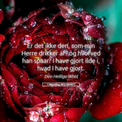 Picture 05 - 1 Mosebog 44:5 DA1871 - Er det ikke den, som min Herre drikker af? og - Bible Verse Picture