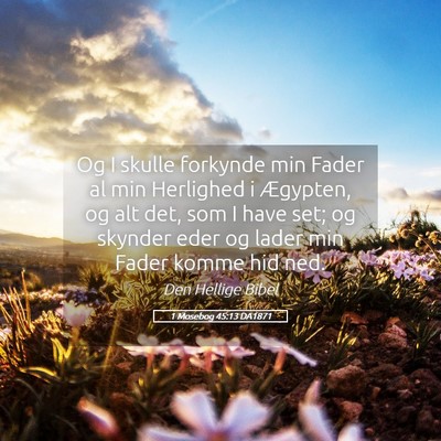 Picture 05 - 1 Mosebog 45:13 DA1871 - Og I skulle forkynde min Fader al min Herlighed i - Bible Verse Picture