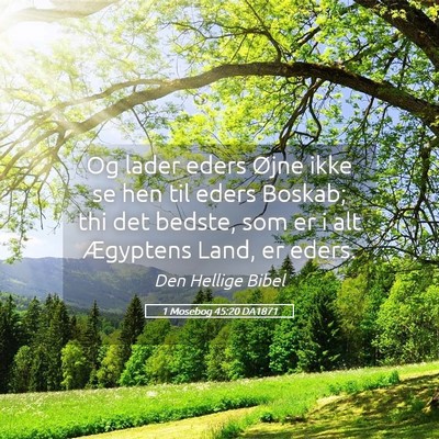 Picture 05 - 1 Mosebog 45:20 DA1871 - Og lader eders Øjne ikke se hen til eders - Bible Verse Picture