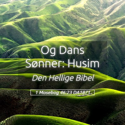Picture 05 - 1 Mosebog 46:23 DA1871 - Og Dans Sønner: - Bible Verse Picture