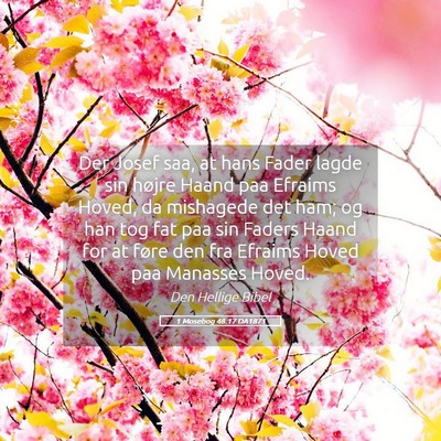 Picture 05 - 1 Mosebog 48:17 DA1871 - Der Josef saa, at hans Fader lagde sin højre - Bible Verse Picture