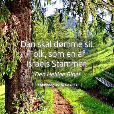 Picture 05 - 1 Mosebog 49:16 DA1871 - Dan skal dømme sit Folk, som en af Israels - Bible Verse Picture