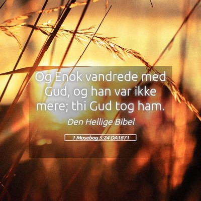 Picture 05 - 1 Mosebog 5:24 DA1871 - Og Enok vandrede med Gud, og han var ikke mere; - Bible Verse Picture