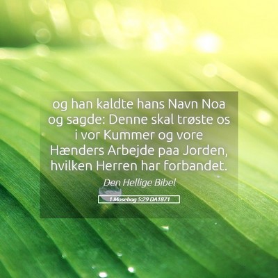 Picture 05 - 1 Mosebog 5:29 DA1871 - og han kaldte hans Navn Noa og sagde: Denne skal - Bible Verse Picture