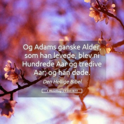 Picture 05 - 1 Mosebog 5:5 DA1871 - Og Adams ganske Alder, som han levede, blev ni - Bible Verse Picture