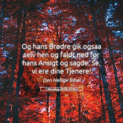 Picture 05 - 1 Mosebog 50:18 DA1871 - Og hans Brødre gik ogsaa selv hen og faldt ned - Bible Verse Picture