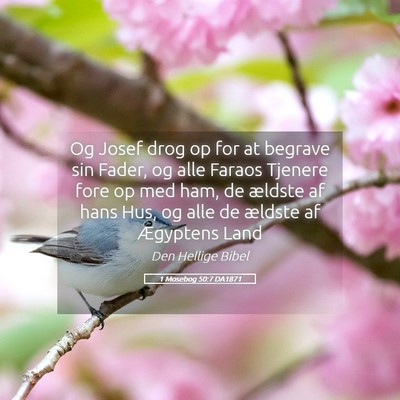 Picture 05 - 1 Mosebog 50:7 DA1871 - Og Josef drog op for at begrave sin Fader, og - Bible Verse Picture