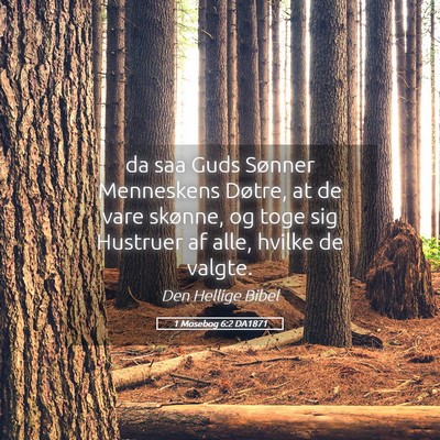Picture 05 - 1 Mosebog 6:2 DA1871 - da saa Guds Sønner Menneskens Døtre, at de vare - Bible Verse Picture
