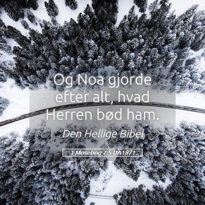 Picture 05 - 1 Mosebog 7:5 DA1871 - Og Noa gjorde efter alt, hvad Herren bød - Bible Verse Picture