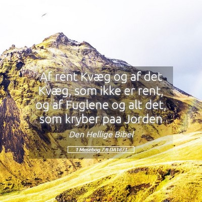 Picture 05 - 1 Mosebog 7:8 DA1871 - Af rent Kvæg og af det Kvæg, som ikke er rent, - Bible Verse Picture