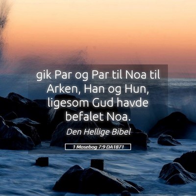 Picture 05 - 1 Mosebog 7:9 DA1871 - gik Par og Par til Noa til Arken, Han og Hun, - Bible Verse Picture