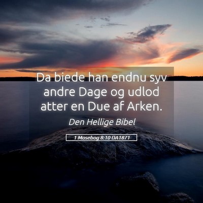 Picture 05 - 1 Mosebog 8:10 DA1871 - Da biede han endnu syv andre Dage og udlod atter - Bible Verse Picture