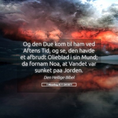 Picture 05 - 1 Mosebog 8:11 DA1871 - Og den Due kom til ham ved Aftens Tid, og se, den - Bible Verse Picture