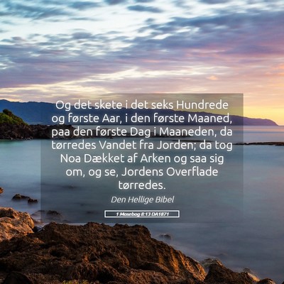 Picture 05 - 1 Mosebog 8:13 DA1871 - Og det skete i det seks Hundrede og første Aar, - Bible Verse Picture