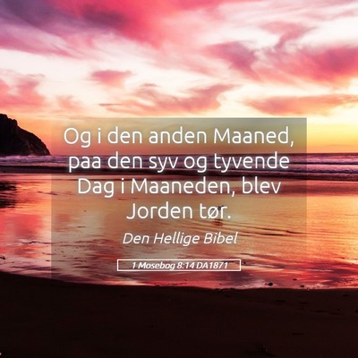 Picture 05 - 1 Mosebog 8:14 DA1871 - Og i den anden Maaned, paa den syv og tyvende Dag - Bible Verse Picture