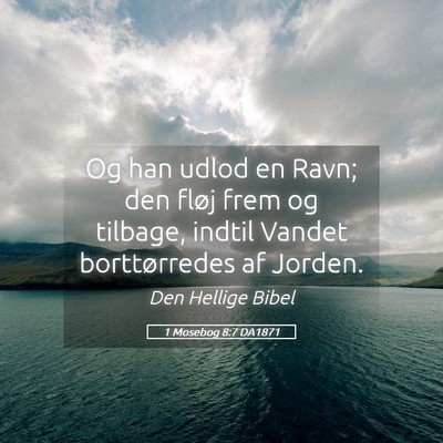 Picture 05 - 1 Mosebog 8:7 DA1871 - Og han udlod en Ravn; den fløj frem og tilbage, - Bible Verse Picture