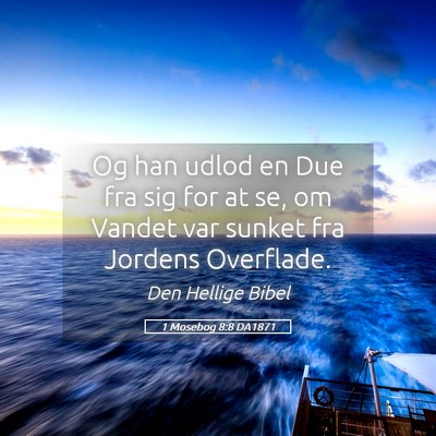 Picture 05 - 1 Mosebog 8:8 DA1871 - Og han udlod en Due fra sig for at se, om Vandet - Bible Verse Picture
