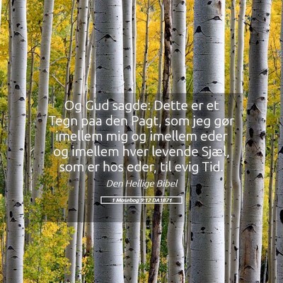 Picture 05 - 1 Mosebog 9:12 DA1871 - Og Gud sagde: Dette er et Tegn paa den Pagt, som - Bible Verse Picture