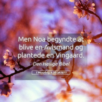 Picture 05 - 1 Mosebog 9:20 DA1871 - Men Noa begyndte at blive en Avlsmand og plantede - Bible Verse Picture
