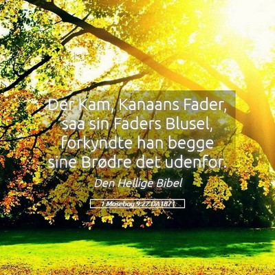 Picture 05 - 1 Mosebog 9:22 DA1871 - Der Kam, Kanaans Fader, saa sin Faders Blusel, - Bible Verse Picture