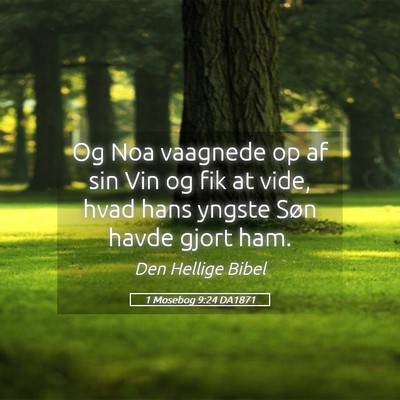 Picture 05 - 1 Mosebog 9:24 DA1871 - Og Noa vaagnede op af sin Vin og fik at vide, - Bible Verse Picture