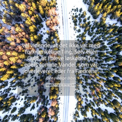 Picture 05 - 1 Peter 1:18 DA1871 - vel vidende, at det ikke var med forkrænkelige - Bible Verse Picture