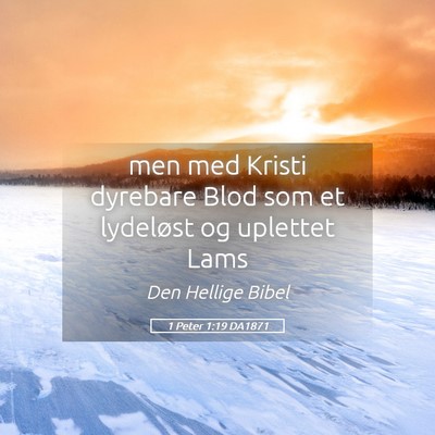 Picture 05 - 1 Peter 1:19 DA1871 - men med Kristi dyrebare Blod som et lydeløst og - Bible Verse Picture