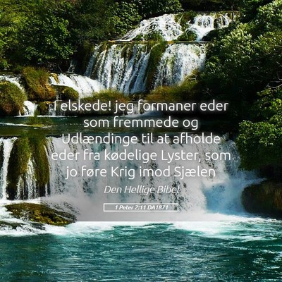 Picture 05 - 1 Peter 2:11 DA1871 - I elskede! jeg formaner eder som fremmede og - Bible Verse Picture
