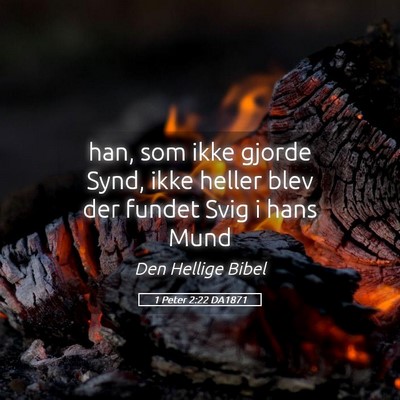 Picture 05 - 1 Peter 2:22 DA1871 - han, som ikke gjorde Synd, ikke heller blev der - Bible Verse Picture
