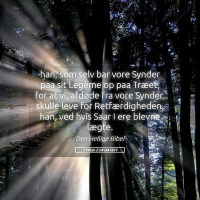 Picture 05 - 1 Peter 2:24 DA1871 - han, som selv bar vore Synder paa sit Legeme op - Bible Verse Picture