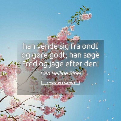 Picture 05 - 1 Peter 3:11 DA1871 - han vende sig fra ondt og gøre godt; han søge - Bible Verse Picture