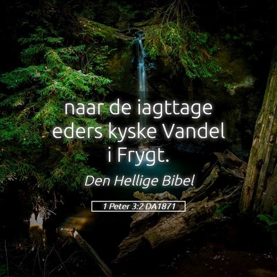 Picture 05 - 1 Peter 3:2 DA1871 - naar de iagttage eders kyske Vandel i - Bible Verse Picture