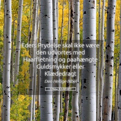 Picture 05 - 1 Peter 3:3 DA1871 - Eders Prydelse skal ikke være den udvortes med - Bible Verse Picture