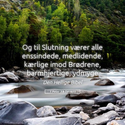Picture 05 - 1 Peter 3:8 DA1871 - Og til Slutning værer alle enssindede, - Bible Verse Picture