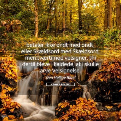 Picture 05 - 1 Peter 3:9 DA1871 - betaler ikke ondt med ondt, eller Skældsord med - Bible Verse Picture