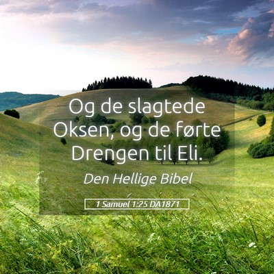 Picture 05 - 1 Samuel 1:25 DA1871 - Og de slagtede Oksen, og de førte Drengen til - Bible Verse Picture